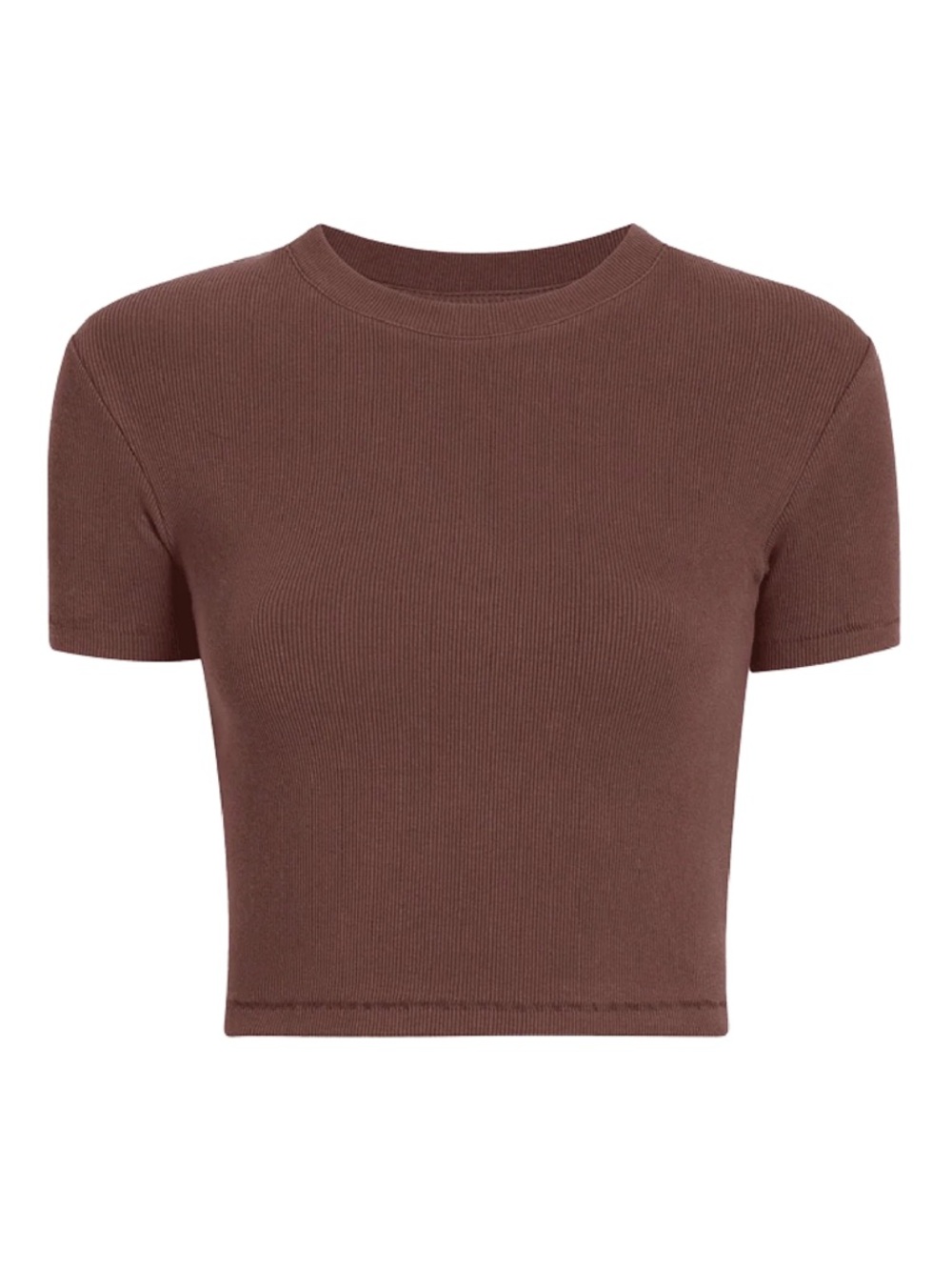 Nuuds Coffee Brown Baby Tee Cropped Short Sleeve Ribbed Top Medium